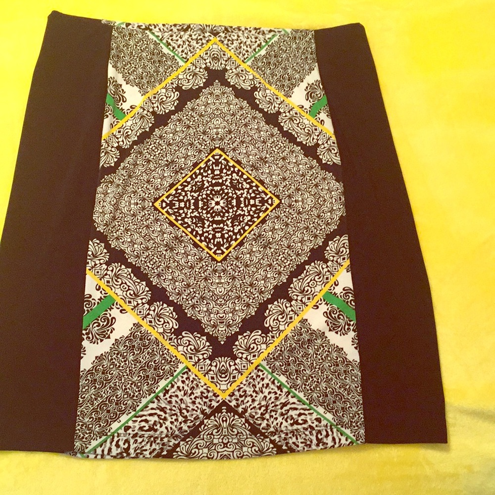 Multi colored skirt NWOT